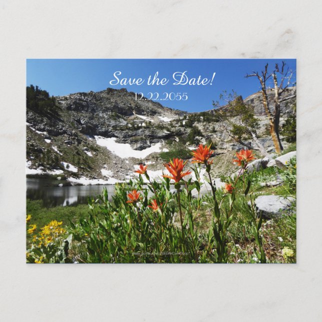 Carte Postale Faire-part Annonce de renouvellement de vœux de mariage "Save (Devant)