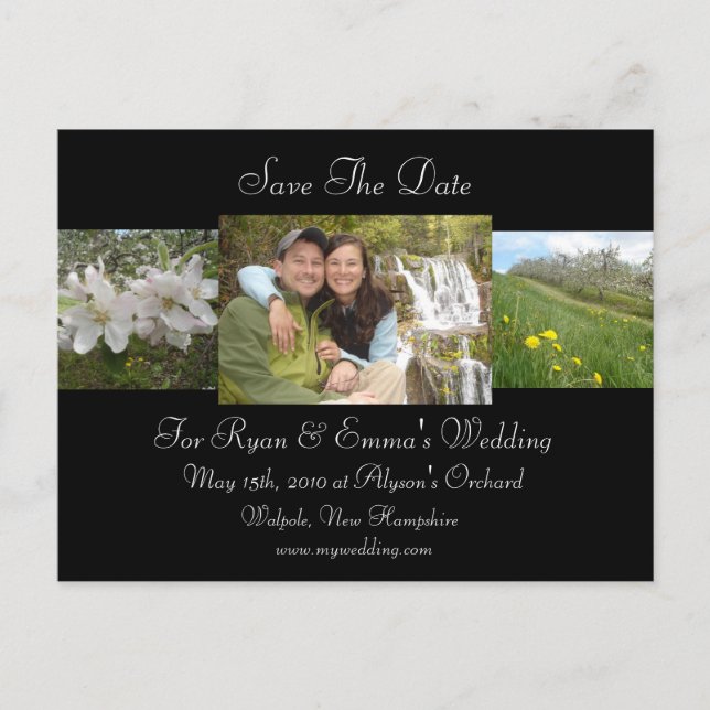 Carte Postale Faire-part Apple Blossom Enregistrer La Date (Devant)