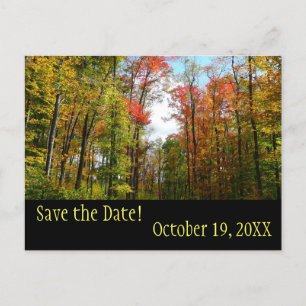 Carte Postale Faire-part Arbres d'automne et ciel bleu Enregistrer la date