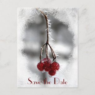 Carte Postale Faire-part Baies Rouges et Givre Mariage d'Hiver Enregistrez 