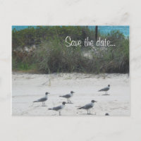 Birds of a Feather, troupeau ensemble….
