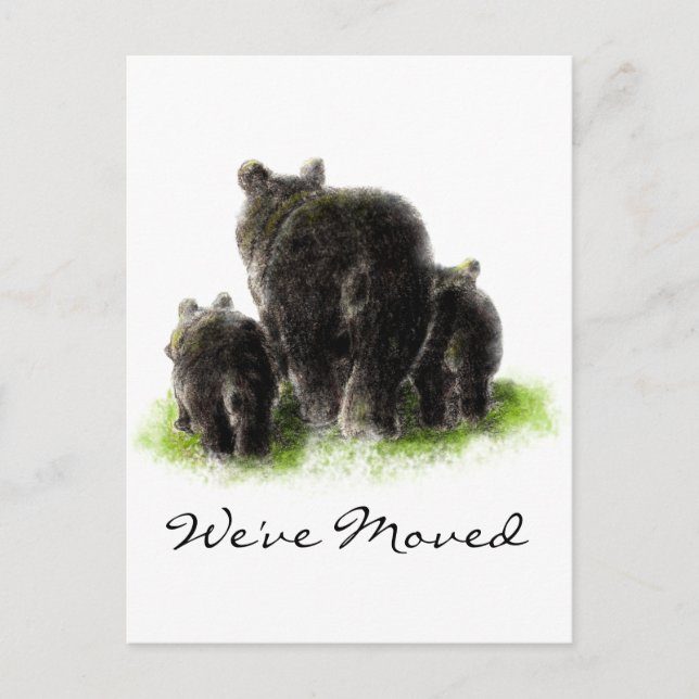 Carte Postale Faire-part Black Bear Famille Animal Nature Adresse Nouveau A (Devant)