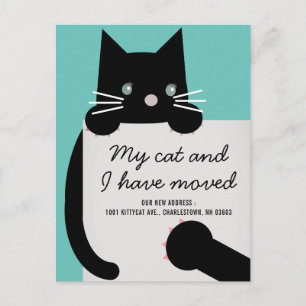 Carte Postale Faire-part Black Kitty Chat Lumière Turquoise Moteur Faire-pa