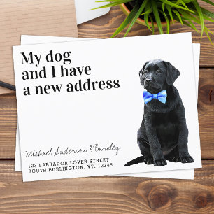 Carte Postale Faire-part Black Lab Nous Avons Déménagé Nouvelle Adresse Chi