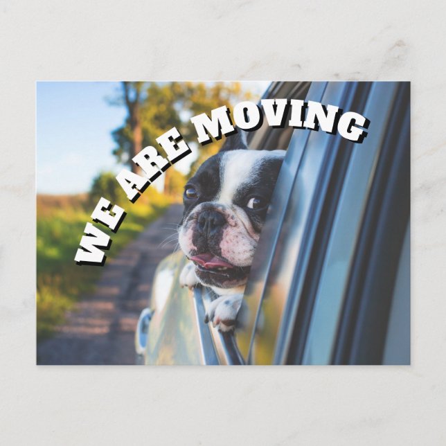 Carte Postale Faire-part Boîte Chien Boxer Mignon dans la Voiture Changemen (Devant)