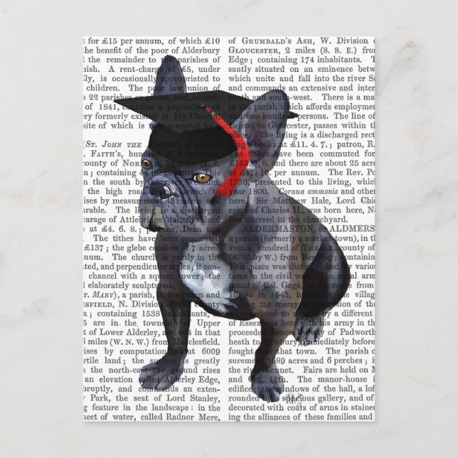 Carte Postale Faire-part Bouledogue français diplômé (Devant)
