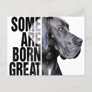 Carte Postale Faire-part Certains naissent Amoureux de Grand Danois Cadeau 
