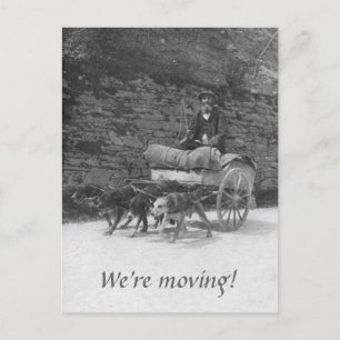 Carte Postale Faire-part Chariot de chien avec un barbu en mouvement