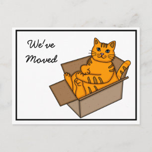 Carte Postale Faire-part Chat dans une boîte "Nous déménageons" Nouvelle ad