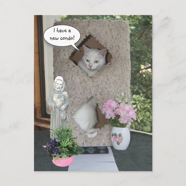 Carte Postale Faire-part Chat Drôle/ Je Déménage/Nouvelle Adresse (Devant)