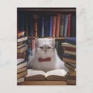 Carte Postale Faire-part Chat futé d'obtention du diplôme