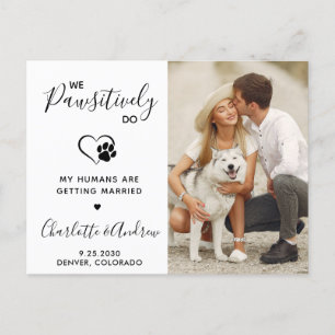 Carte Postale Faire-part Chien Photo Mariage Pour Animaux De Compagnie Mode