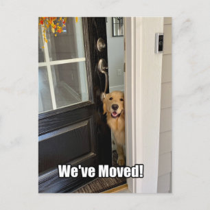 Carte Postale Faire-part Chien Retriever Doré Nous Avons Déménagé Changemen