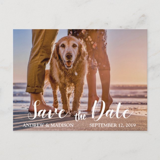 Carte Postale Faire-part Chien sur la plage avec un couple Sauvez la date (Devant)
