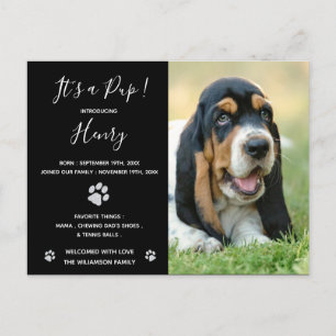 Carte Postale Faire-part Chiot Noir Élégante Parties scintillant