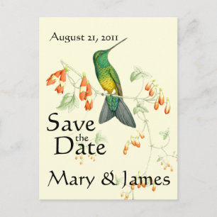 Carte Postale Faire-part Colibri Oiseau Fleur Floral Enregistrer la Date