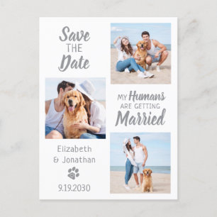 Carte Postale Faire-part Collage de photos de mariage de chien Enregistrer 