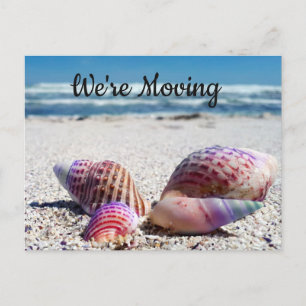 Carte Postale Faire-part Coquillages Sandy Beach Océan Changement d'adresse