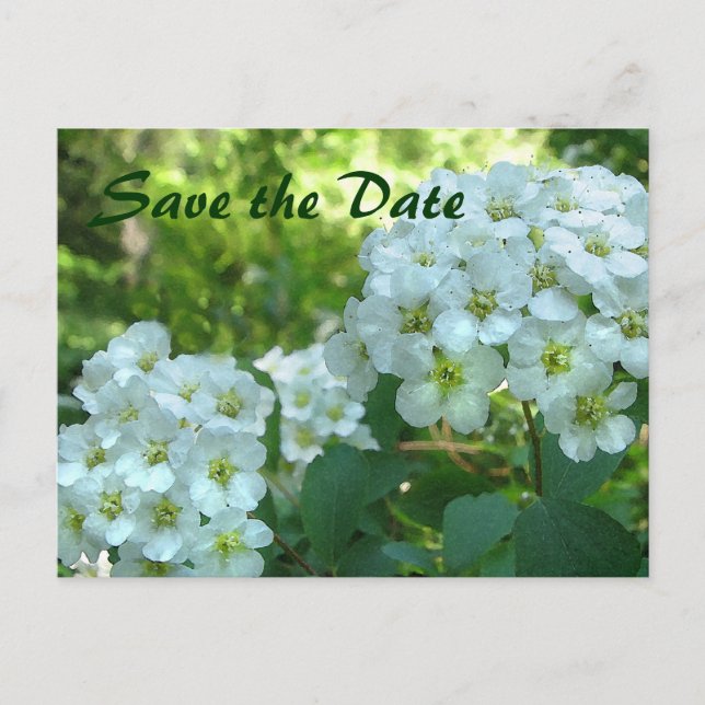 Carte Postale Faire-part Couronne nuptiale Enregistrer la date (Devant)
