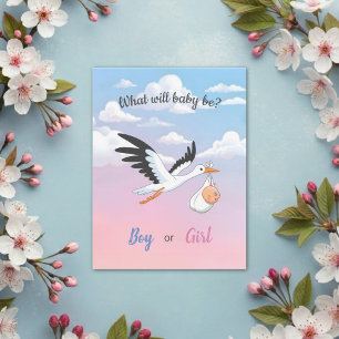 Carte Postale Faire-part de Révélation du Sexe de Bébé Nuage Cig