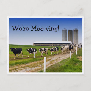 Carte Postale Faire-part Déménagement, Vaches drôles Changement d'adresse