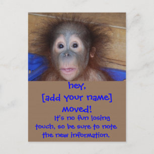 Carte Postale Faire-part Déménagements Annonces Tête de Mignon