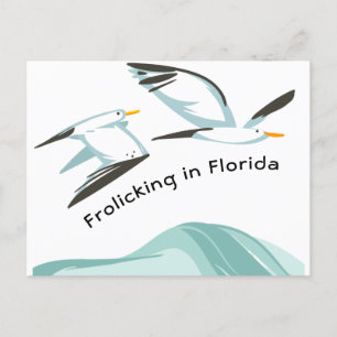 Carte Postale Faire-part Deux goélands s'ébattant en Floride Nouvelle Adres