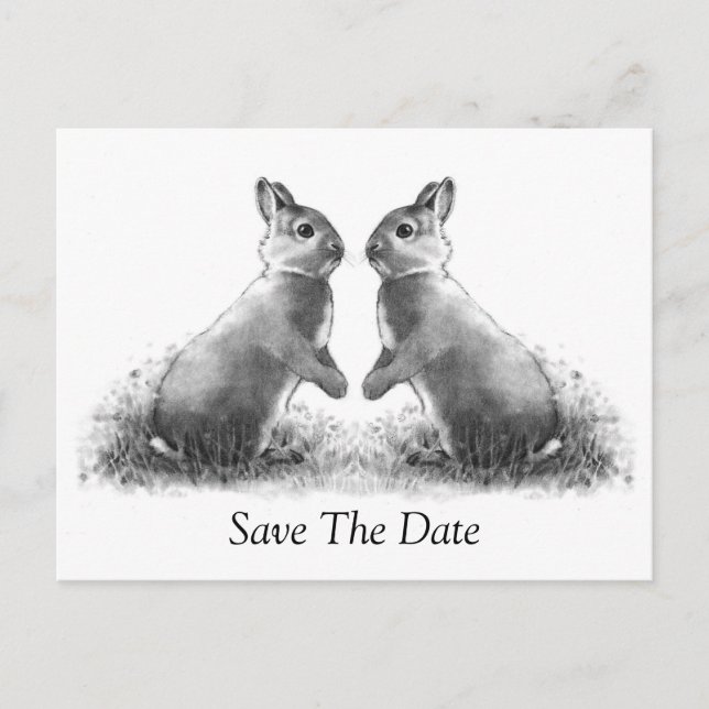 Carte Postale Faire-part Deux Lapins (Lapins) : Sauvegarder la date (Devant)