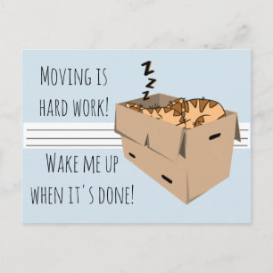 Carte Postale Faire-part Drôle "Nous sommes en train de bouger" Chat Annonc