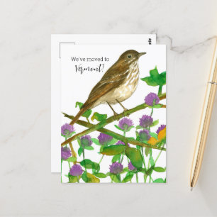 Carte Postale Faire-part du Vermont Hermite Trush Clover