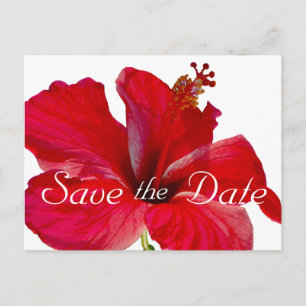 Carte Postale Faire-part Économies tropicales de mariage de ketmie la date