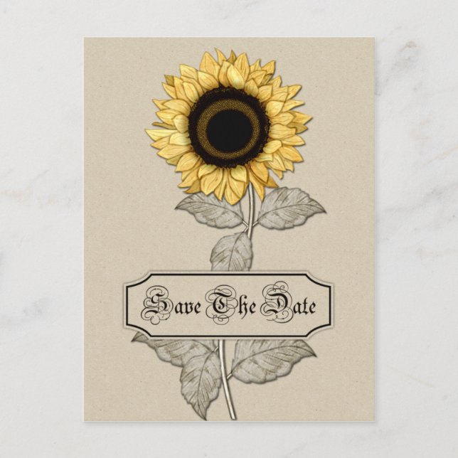 Carte Postale Faire-part Élégant Tournesol Jaune Tan Arrière - plan Sauvez  (Devant)