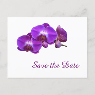 Carte Postale Faire-part Élégantes fleurs d'orchidées violettes sauvent la