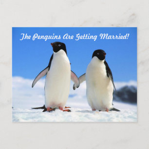 Carte Postale Faire-part Enregistrer la date