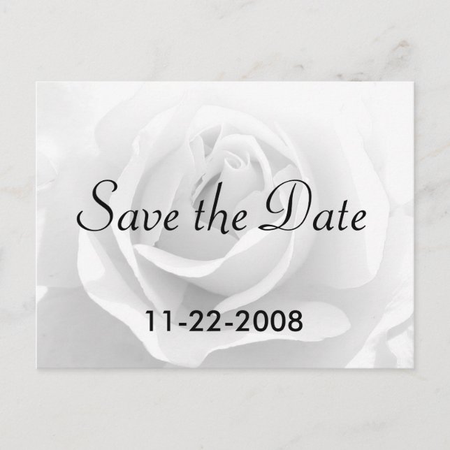 Carte Postale Faire-part Enregistrer la date Rose blanche (Devant)
