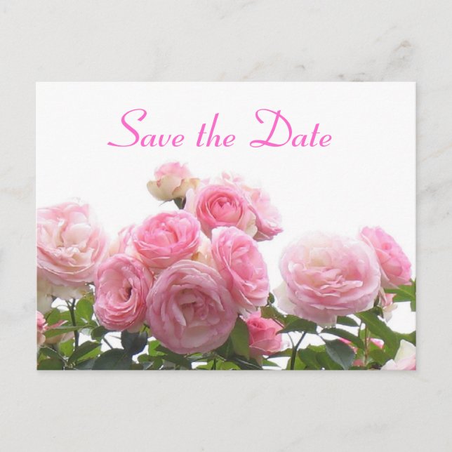 Carte Postale Faire-part Enregistrer la date - roses roses roses (Devant)