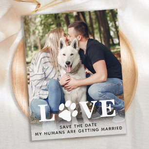 Carte Postale Faire-part Enregistrer le Mariage Date Chien