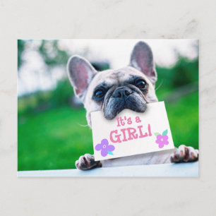 Carte Postale Faire-part Faire part de naissance de bébé fille avec chien p