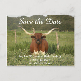 Carte Postale Faire-part Faites gagner la date le Texas Longhorn