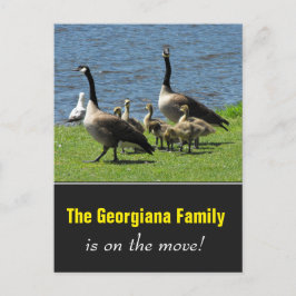 Carte Postale Faire-part Famille en mouvement + Oies du Canada sur l'herbe