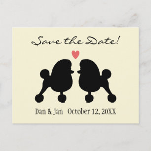 Carte Postale Faire-part Fancy Black Toy Poodles Mariage Enregistrer la dat