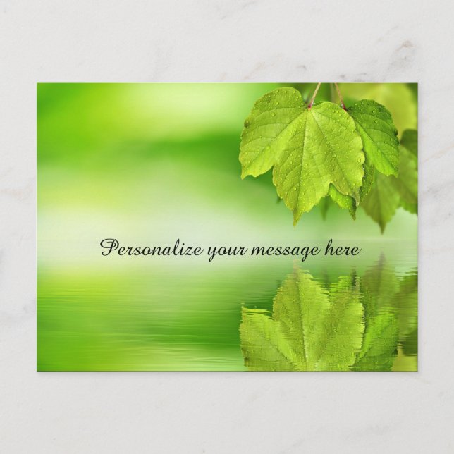 Carte Postale Faire-part Feuilles de la nature verte Dew personnalisée (Devant)