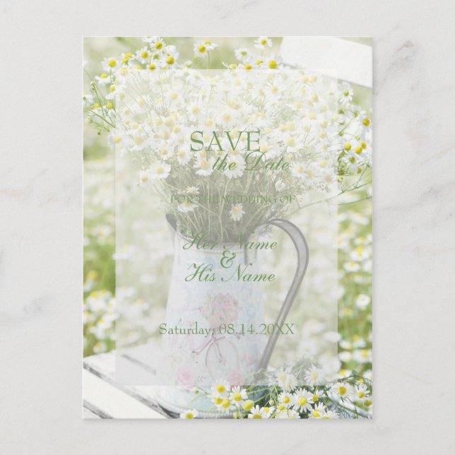 Carte Postale Faire-part Fleur Chamomile Daisies d'été SAUVER la date (Devant)