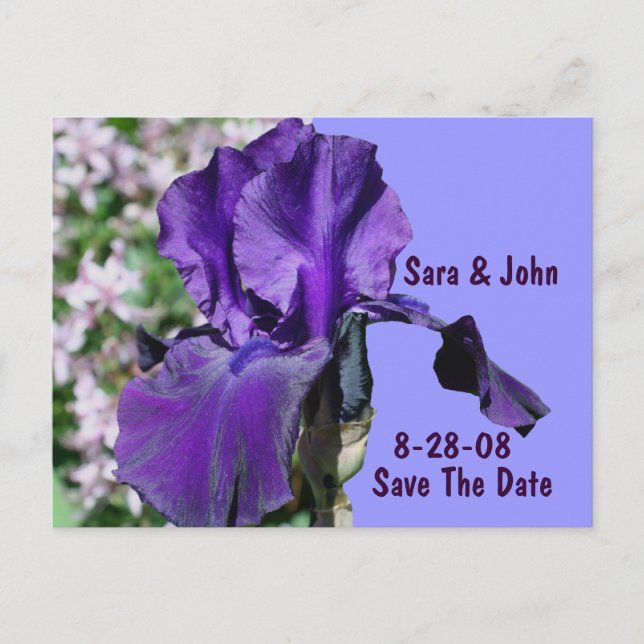 Carte Postale Faire-part Fleur de mariage Iris pourpre Save The Date (Devant)
