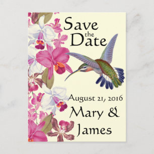 Carte Postale Faire-part Fleurs d'oiseaux de colibri Orchidée Floral Date d