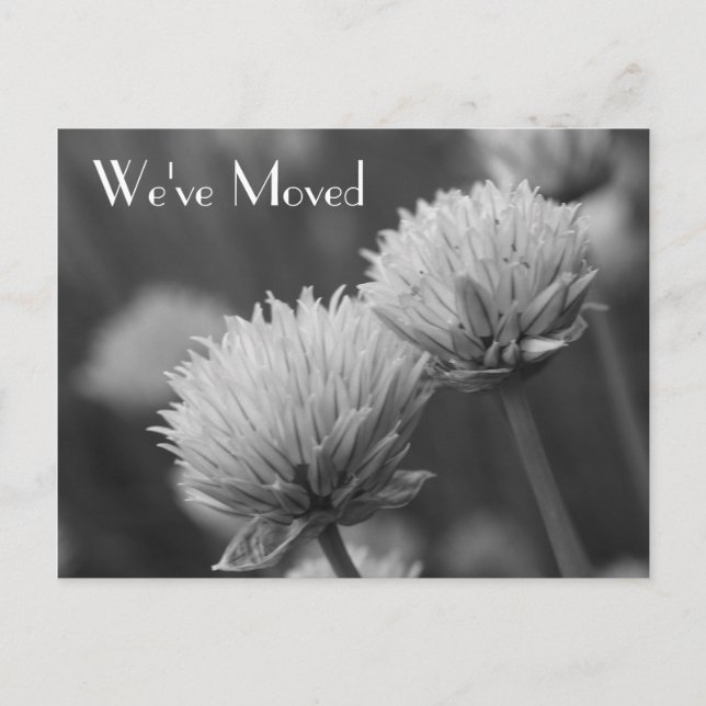 Carte Postale Faire-part Fleurs noires et blanches Nouvelle adresse (Devant)