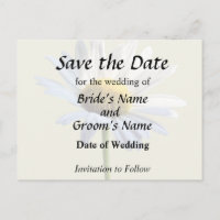 Fournitures de mariage Daisy Shadow et Light