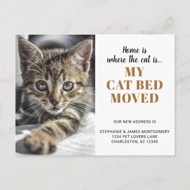 Carte Postale Faire-part Funny Chat Photo Personnalisée Animaux de Compagni (Devant)