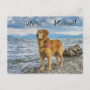Carte Postale Faire-part Golden retriever à la plage que nous nous sommes