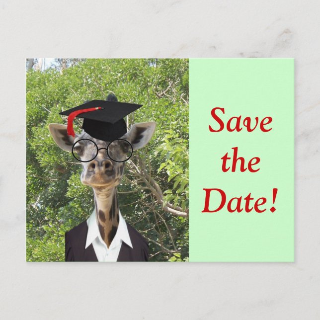 Carte Postale Faire-part Graduate Giraffe Red Tassel (Devant)